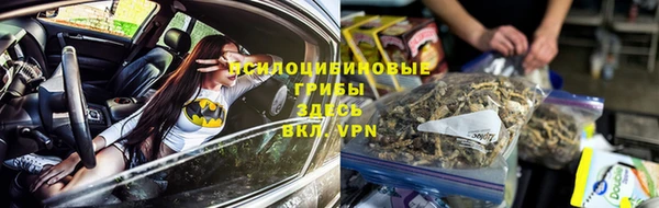 индика Верхнеуральск