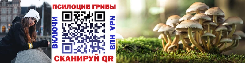 где продают   Пересвет  Галлюциногенные грибы Magic Shrooms 